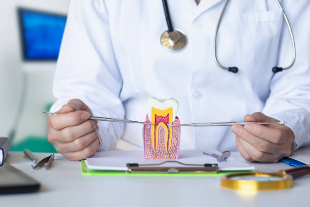 Best Orthodontic Emergency Dentist in Roebling, NJ